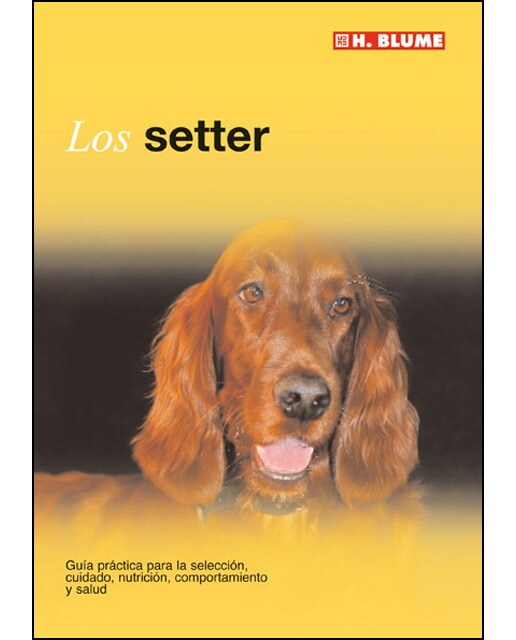 El setter 1