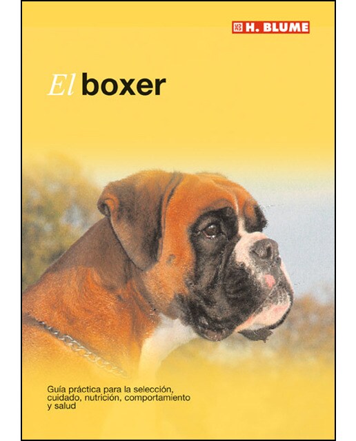 El boxer 1