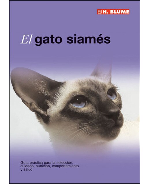 El gato siamés 1