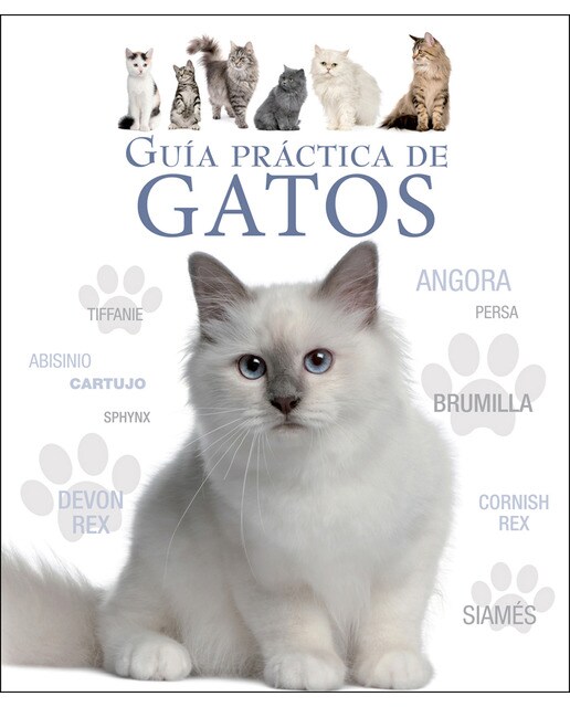 Guía Práctica De Gatos 1