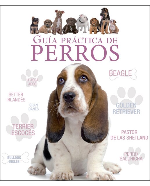 Guía Práctica De Perros 1