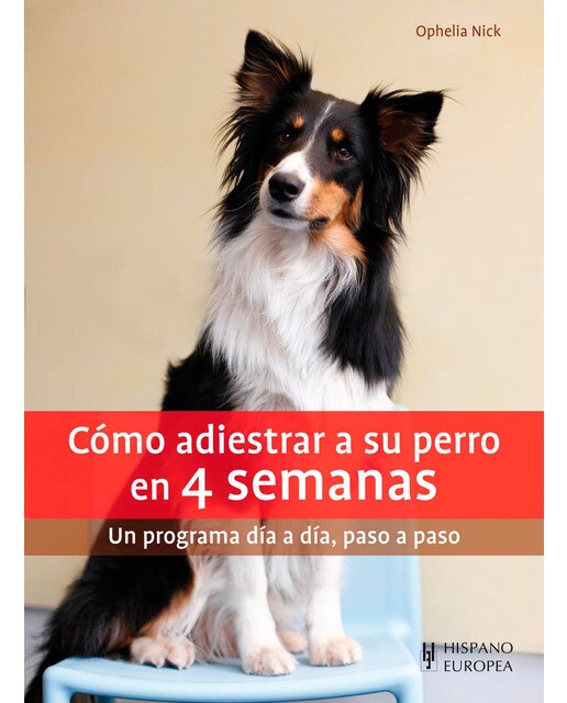 Imagem 0 de Cómo adiestrar a su perro en 4 semanas(Tapa blanda)