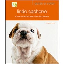 Imagem 0 de Lindo cachorro: El modo más fácil para lograr un perro feliz y obediente(Tapa blanda)