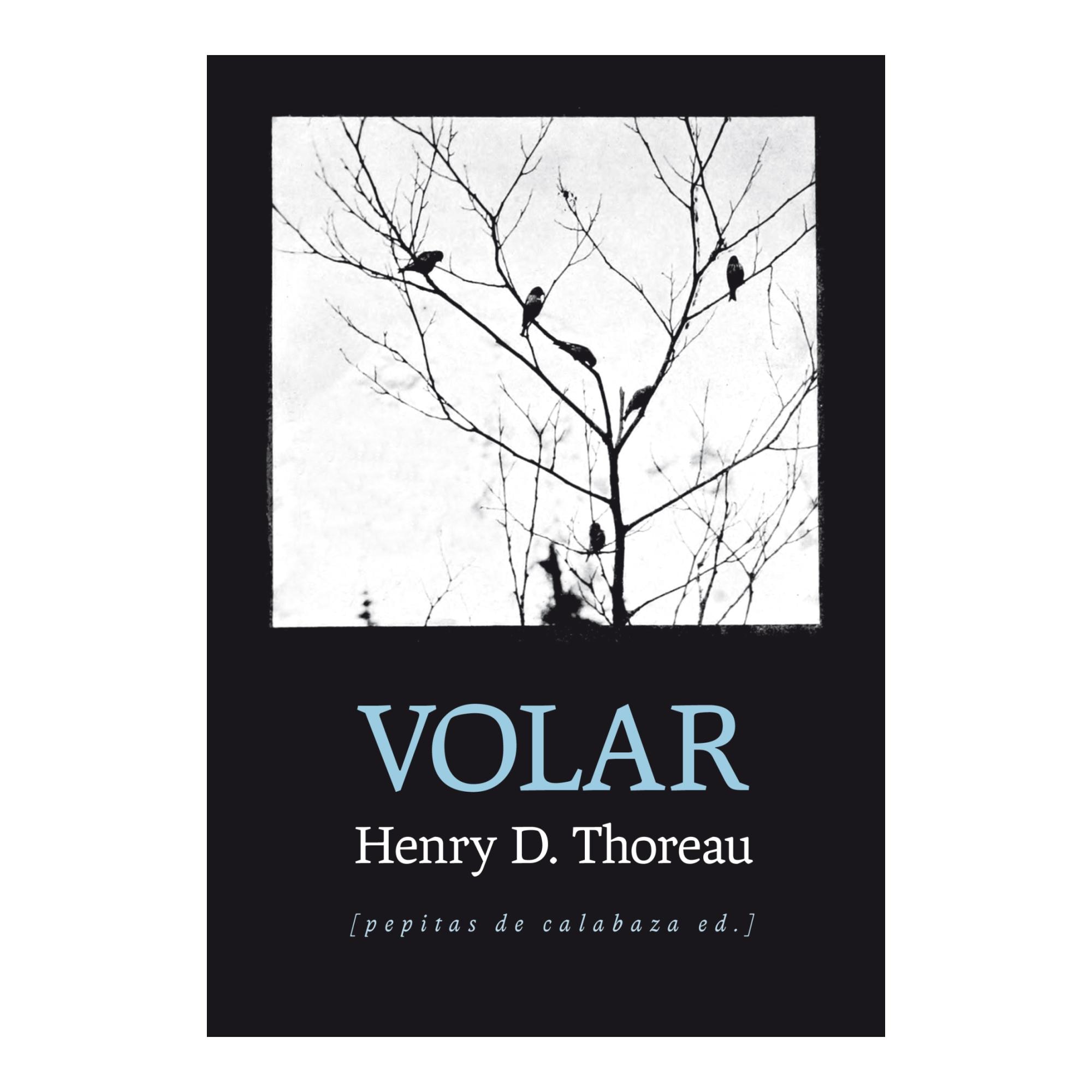 Imagen 0 de Volar  (Tapa blanda con solapas)