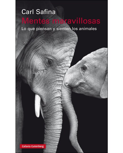 Imagen 0 de Mentes maravillosas: Lo que piensan y sienten los animales (Tapa blanda)