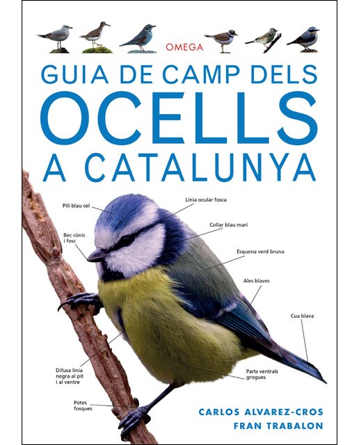 Guía De Camp Dels Ocells A Catalunya 1