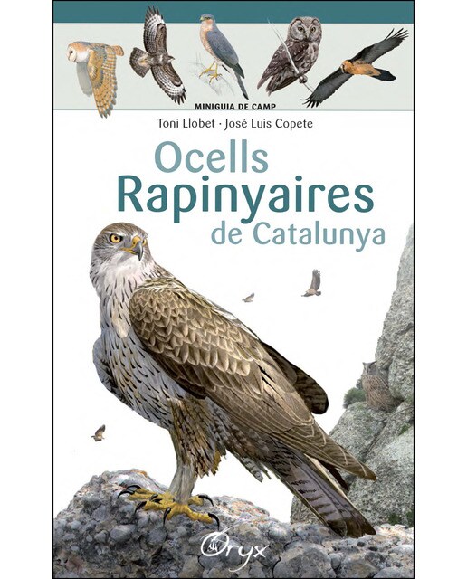 Ocells rapinyaires de Catalunya  (Tapa blanda) 1