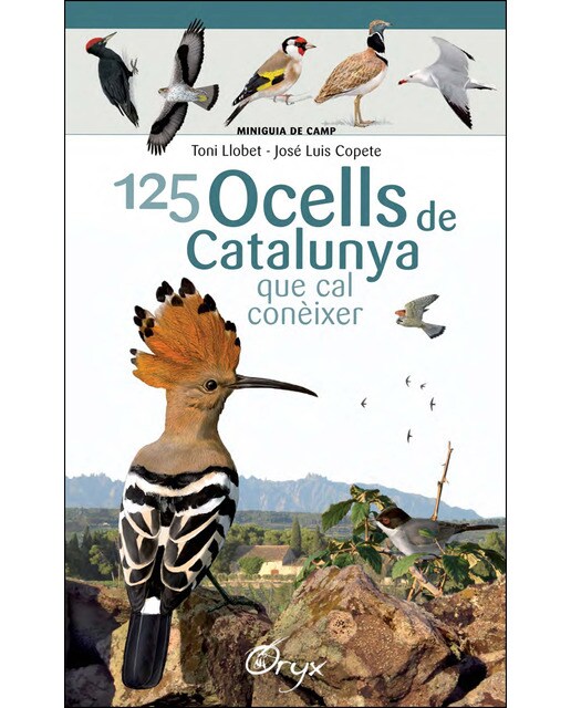 Imagen 0 de 125 ocells de Catalunya: que cal conèixer  (Tapa blanda)