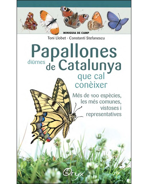 Papallones diürnes de Catalunya: que cal conèixer  (Tapa blanda) 1