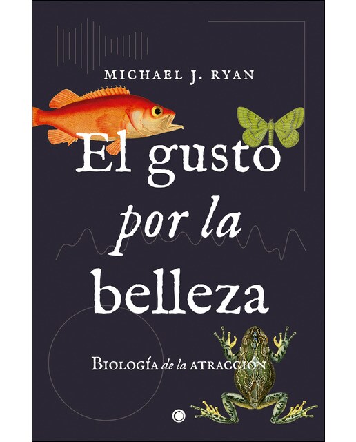 El gusto por la belleza: Biología de la atracción (Tapa blanda con solapas).