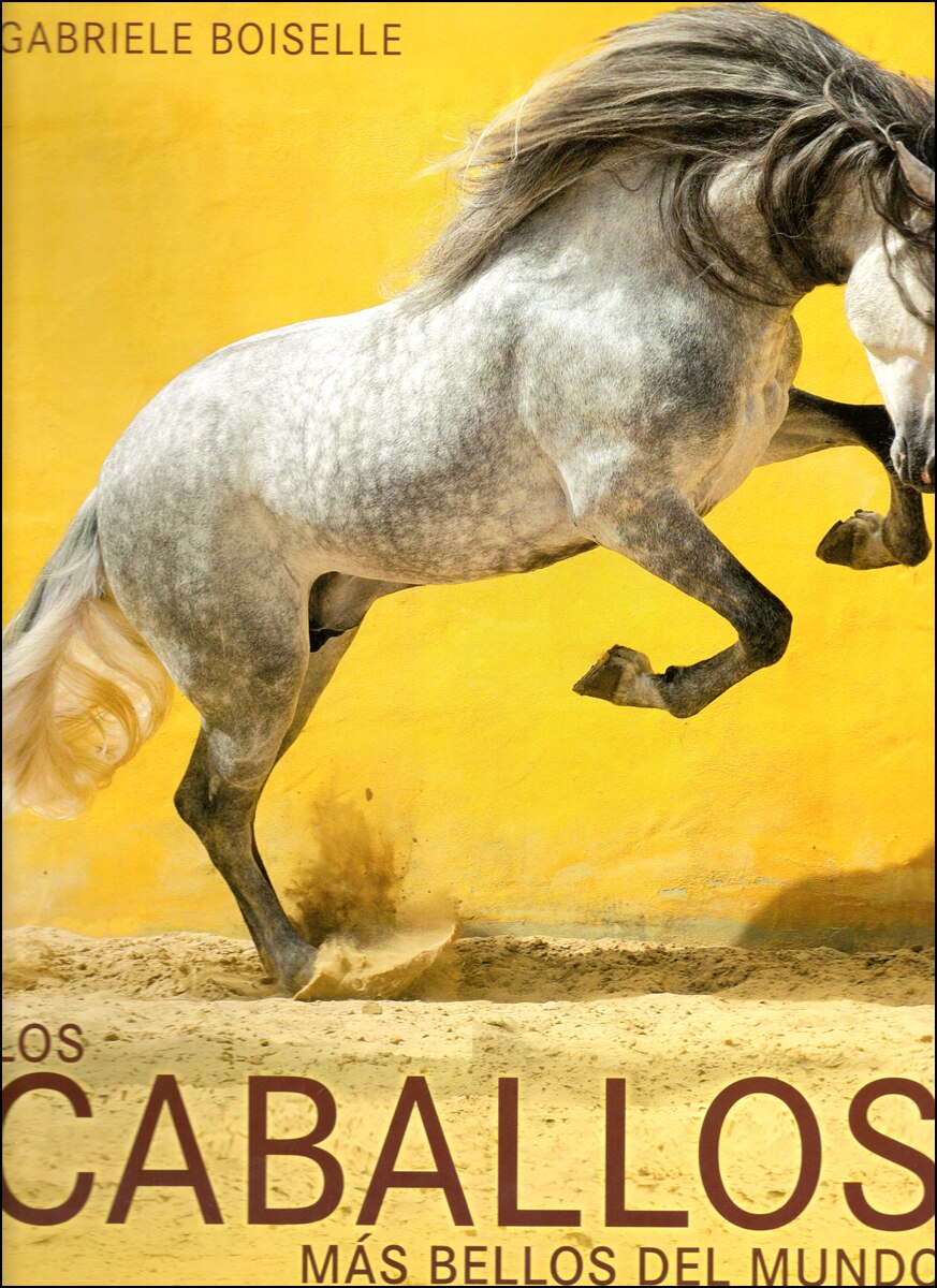 Los Caballos Más Bellos Del Mundo 1