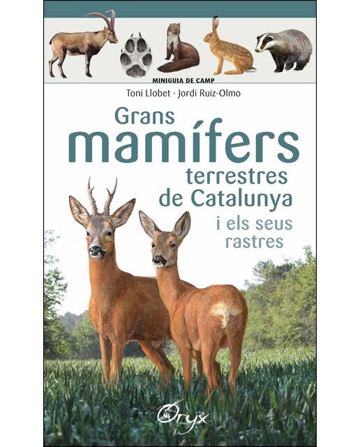 Grans mamífers terrestres de Catalunya i els seus rastres  (Tapa blanda) 1