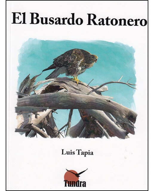 El busardo ratonero.