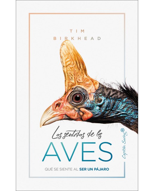 Imagen 0 de Los sentidos de las aves (Tapa blanda)