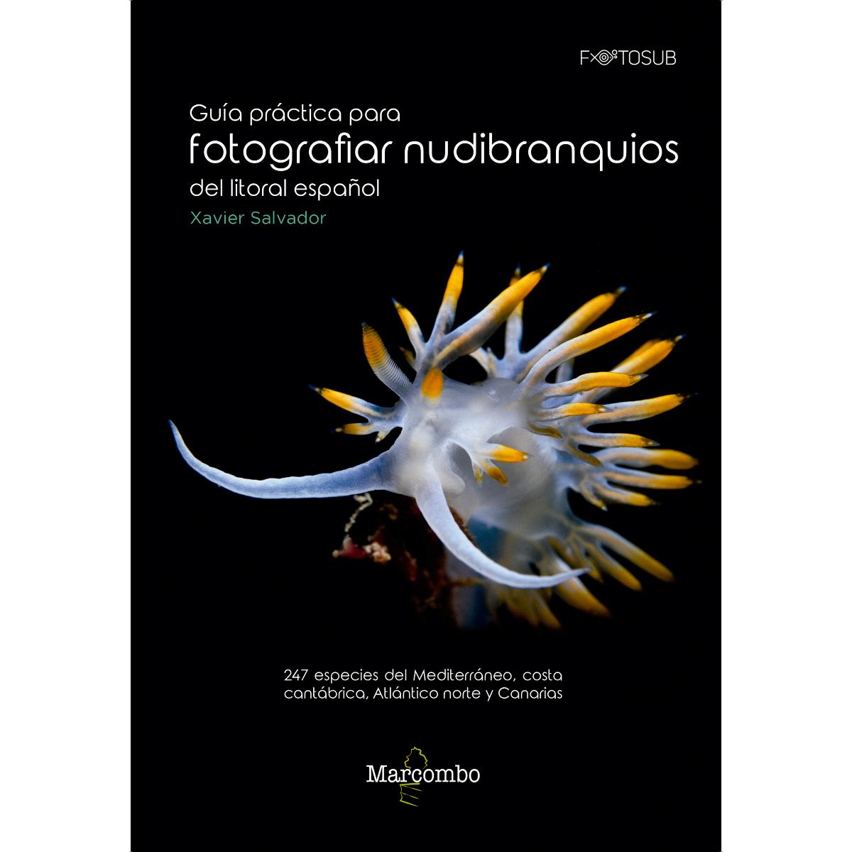 Guía práctica para fotografiar nudibranquios del litoral español: 247 especies del Mediterráneo, costa cantábrica, Atlántico norte y Ca (Tapa blanda).