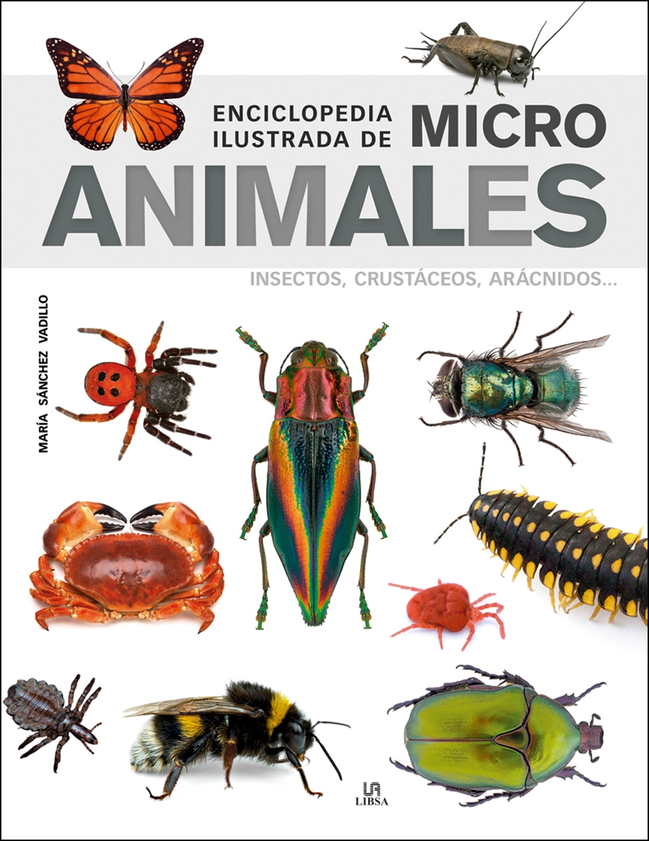 Imagen 0 de Enciclopedia ilustrada de micro animales: Insectos, crustáceos, arácnidos. (Tapa dura)
