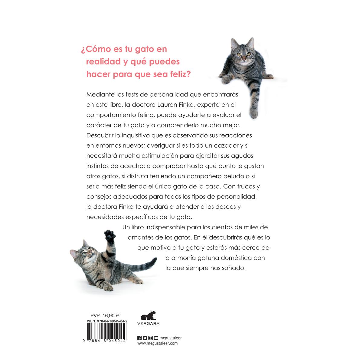 Test de personalidad para gatos: ¿Conoces bien a tu gato? (Capa mole) 2