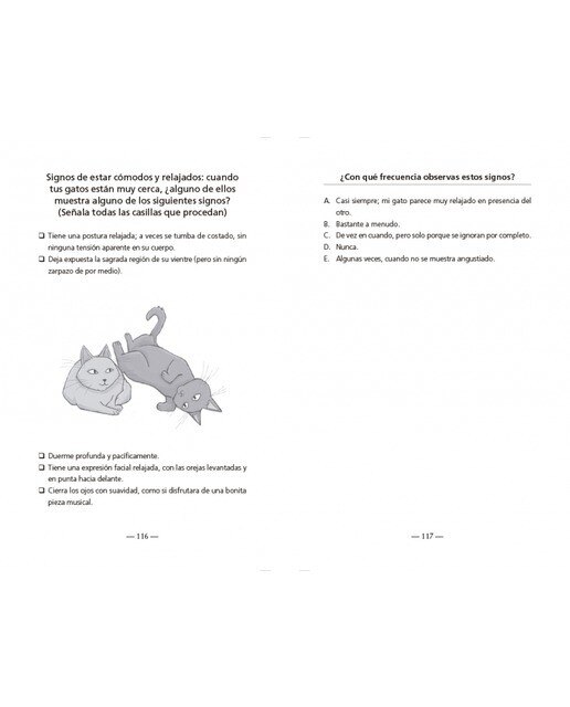 Test de personalidad para gatos: ¿Conoces bien a tu gato? (Capa mole) 4