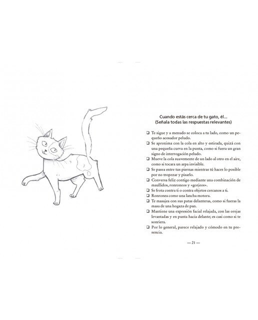Test de personalidad para gatos: ¿Conoces bien a tu gato? (Capa mole) 6