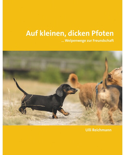 Auf kleinen, dicken Pfoten: ... Welpenwege zur Freundschaft (Capa mole) 1