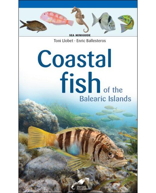 Imagem 0 de Coastal fish of the Balearic Islands (Capa mole)