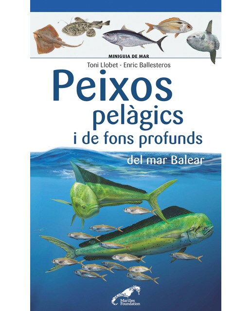Peixos pelàgics i de fons profunds del mar Balear (Capa mole) 1
