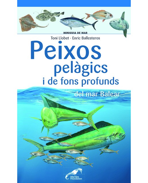 Imagem 0 de Peces pelágicos y de fondos profundos del mar balear(Tapa blanda)