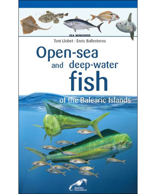 Imagem 0 de Open-sea and deep-water fish of the Balearic Islands (Capa mole)