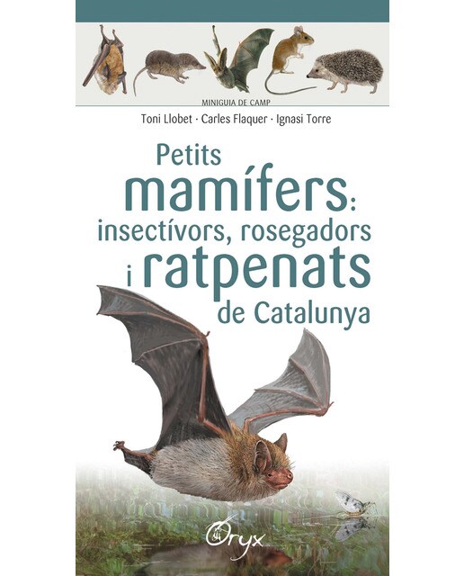 Imagen 0 de Petits mamífers: insectívors, rosegadors i ratpenats de Catalunya  (Tapa blanda)