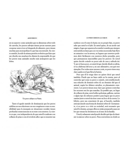 Amor perruno: El libro definitivo para saber cuánto te quiere tu perro(Tapa blanda) 4