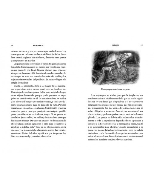 Amor perruno: El libro definitivo para saber cuánto te quiere tu perro(Tapa blanda) 5