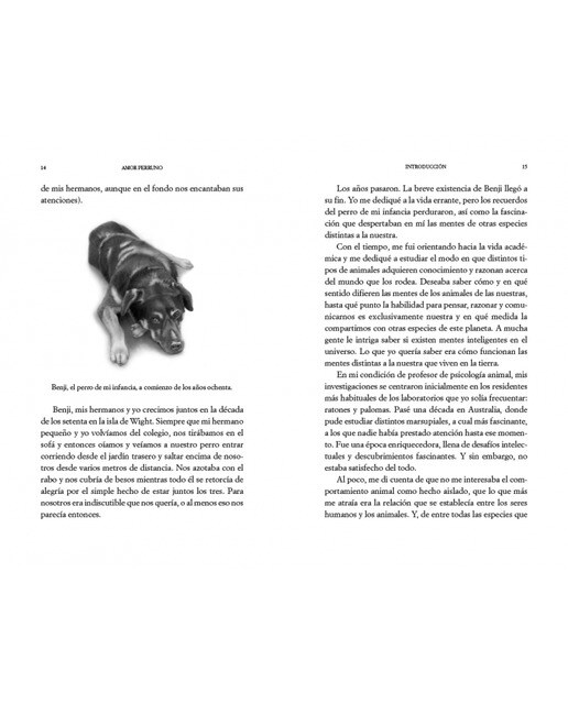 Amor perruno: El libro definitivo para saber cuánto te quiere tu perro(Tapa blanda) 6