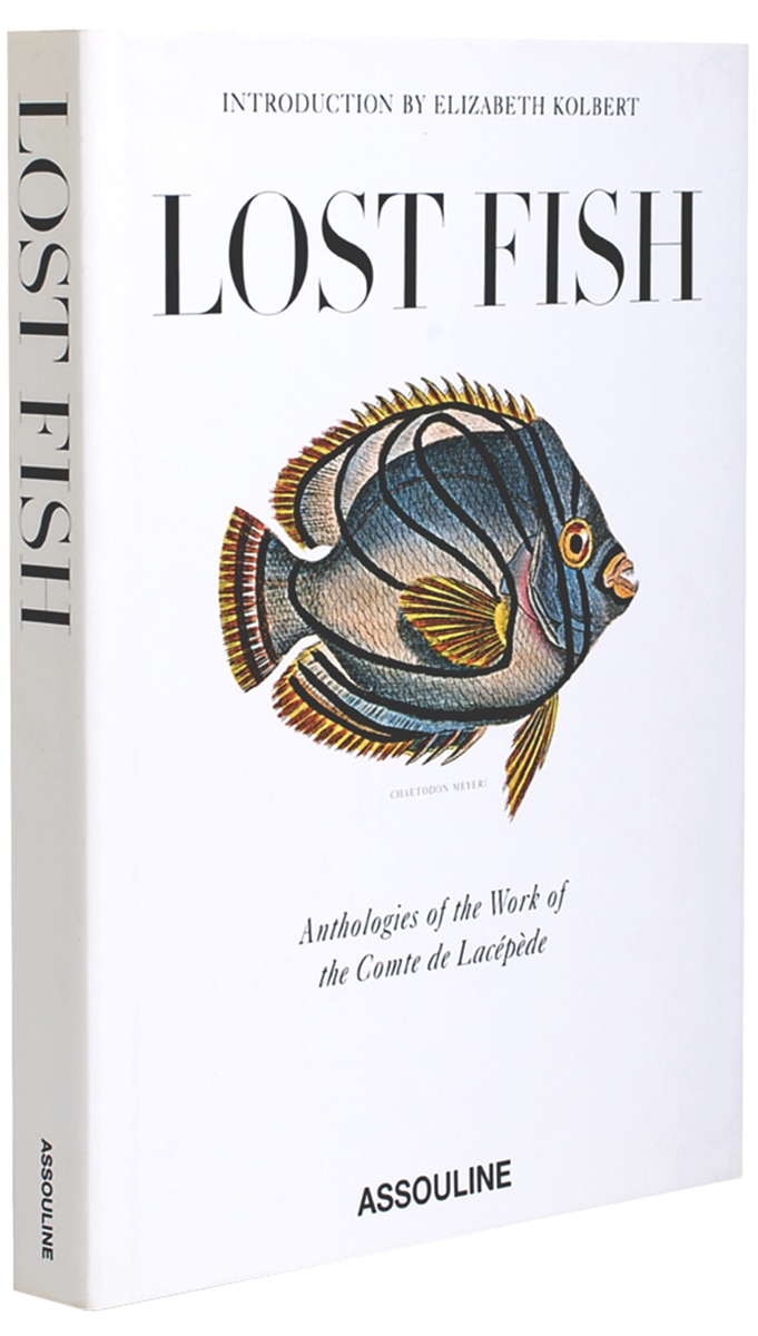 Imagem 0 de Lost fish