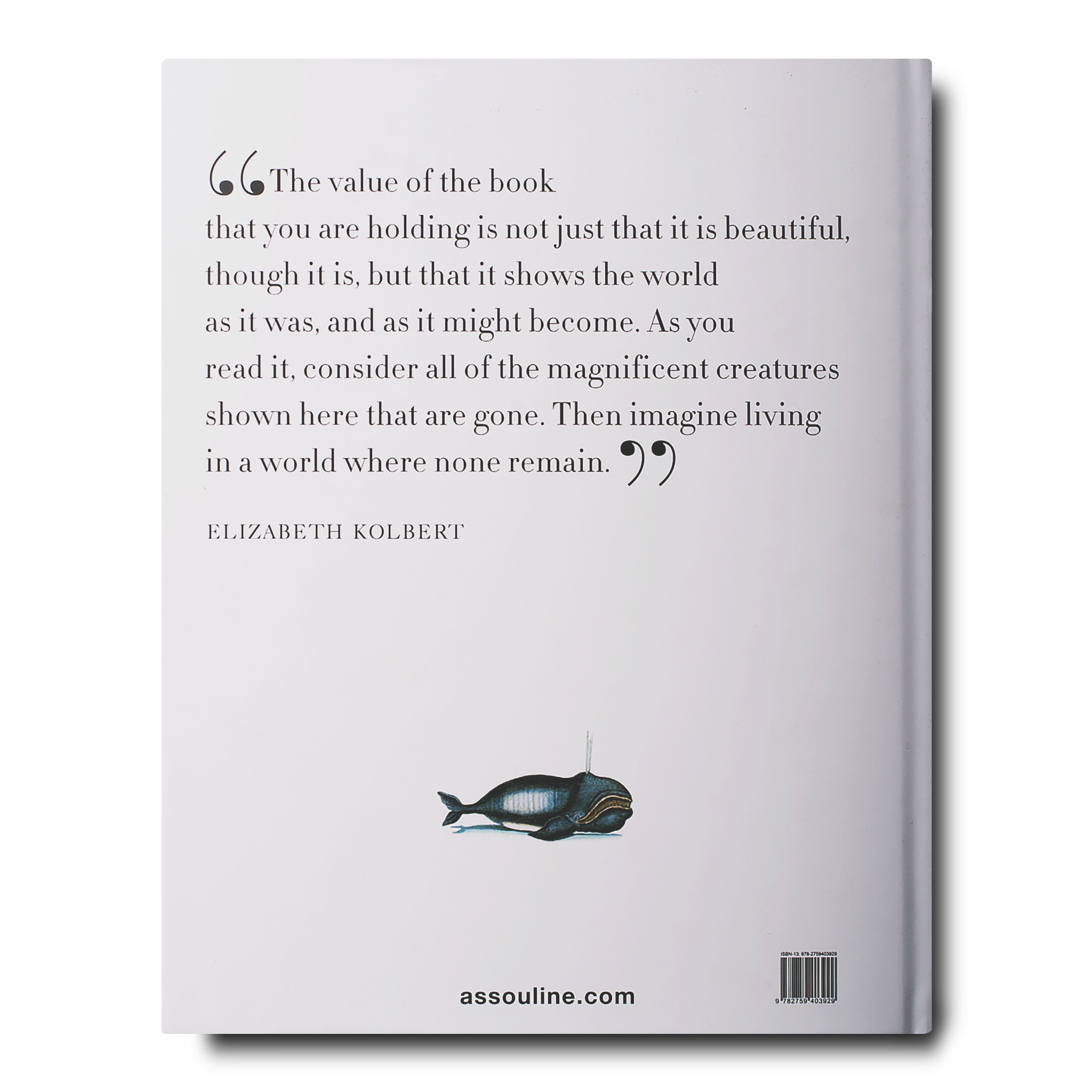 Lost fish 2