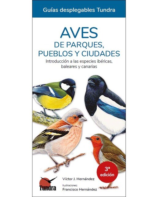 Imagen 0 de Aves de parques, pueblos y ciudades