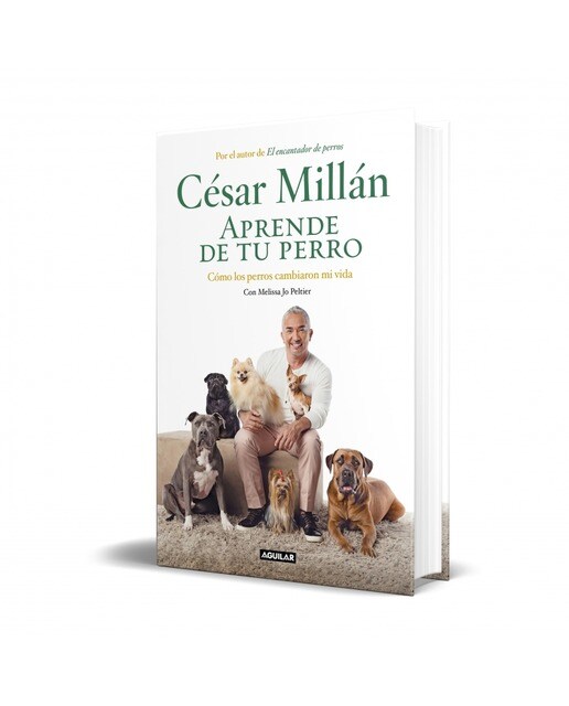 Aprende de tu perro: Cómo los perros cambiaron mi vida(Tapa dura) 3