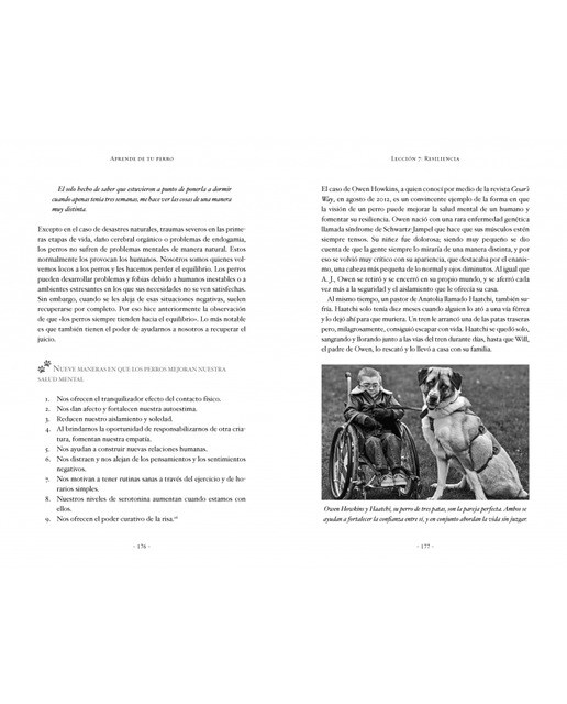 Aprende de tu perro: Cómo los perros cambiaron mi vida(Tapa dura) 4