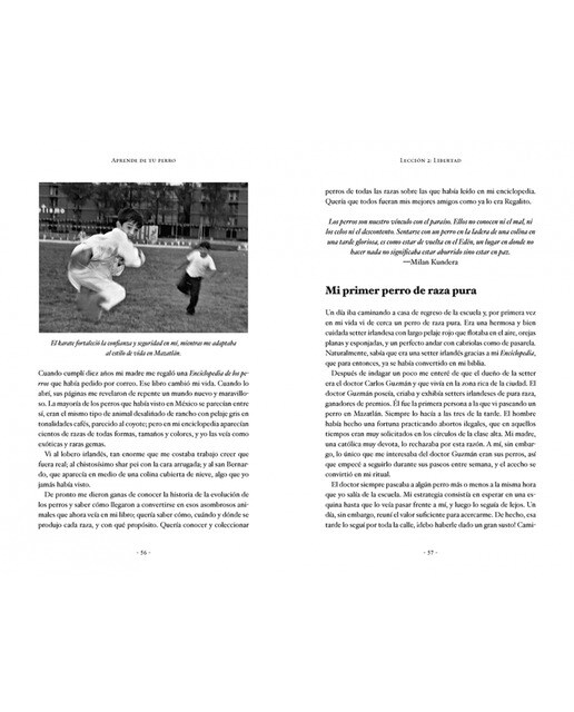 Aprende de tu perro: Cómo los perros cambiaron mi vida(Tapa dura) 7