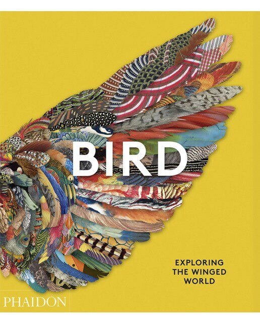 Birds 1