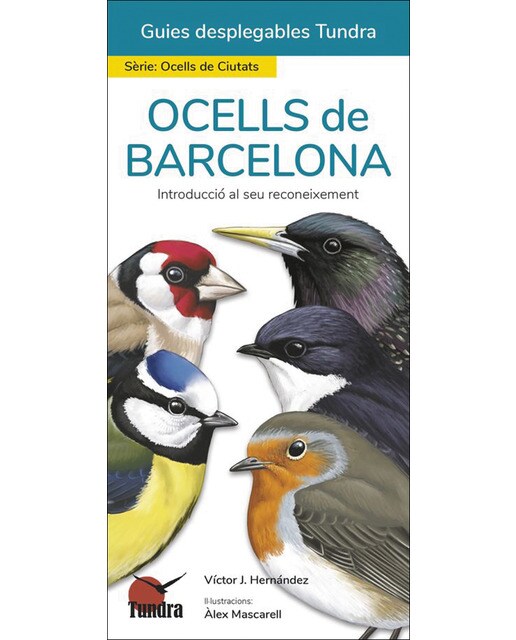 Ocells de barcelona - guias desplegables tundra 1