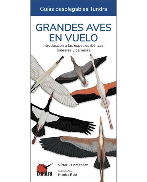 Grandes aves en vuelo - guias desplegables tundra 1