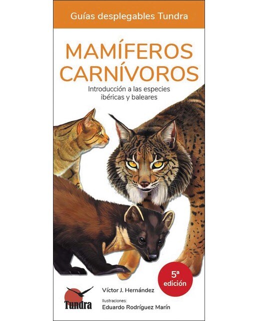 Mamíferos carnívoros - guias desplegables tundra