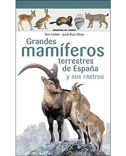 Imagen 0 de Grandes mamíferos terrestres de España y sus rastros