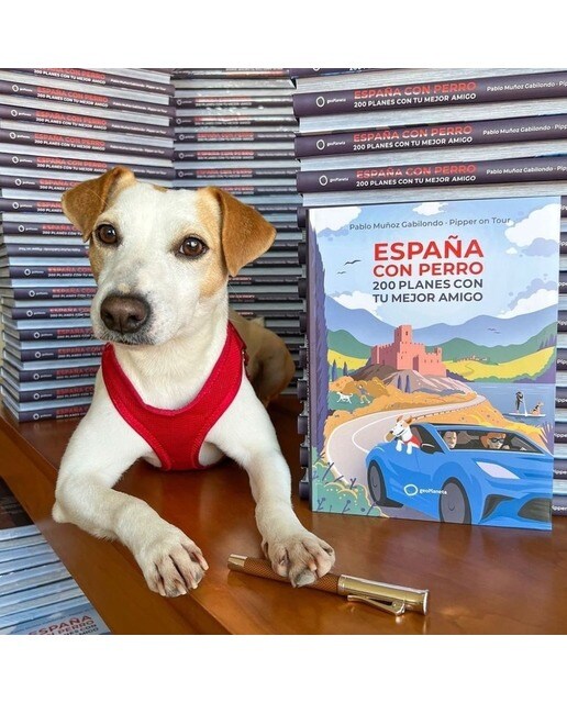 España con perro: 200 planes con tu mejor amigo(Tapa blanda) 4