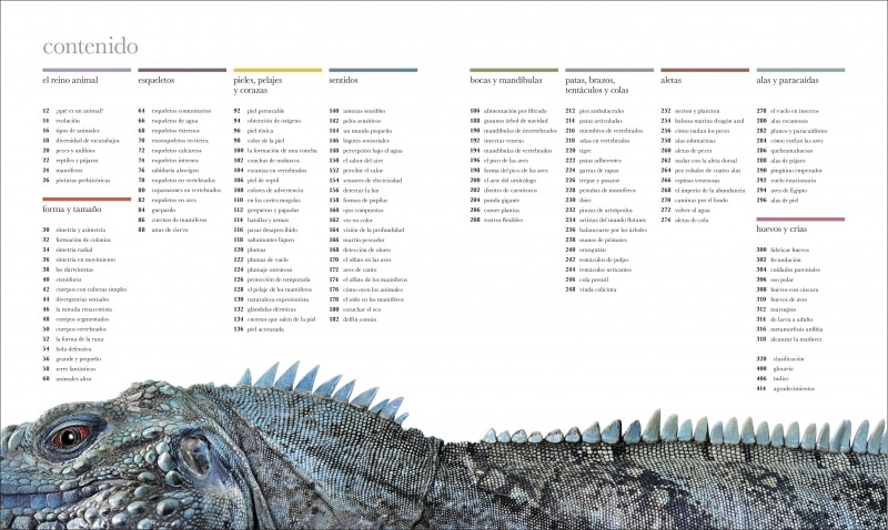 Fauna (nueva edición): El mundo secreto de los animales (Tapa dura) 3