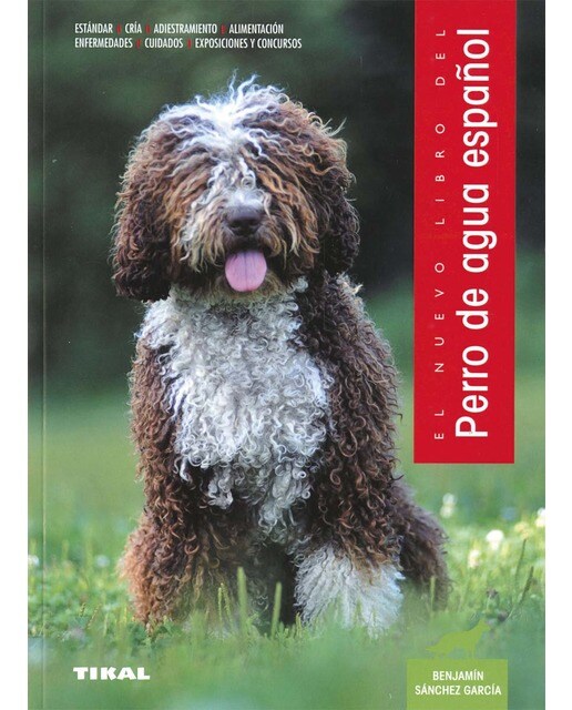 Perro de agua español (Capa mole) 1
