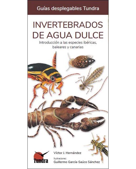 Imagen 0 de Invertebrados de agua dulce - guias desplegables t