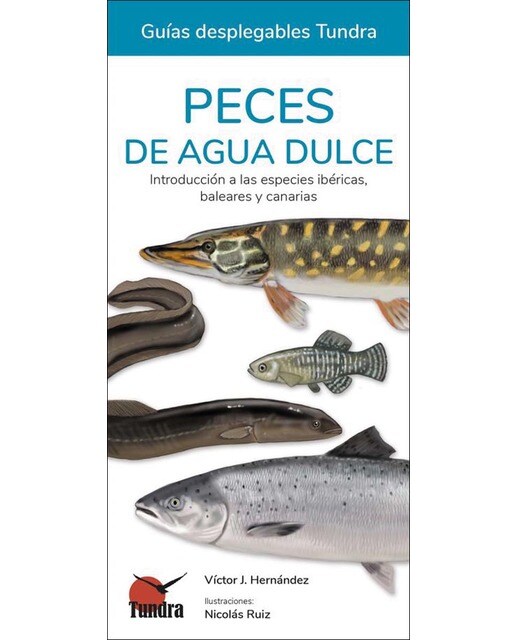 Peces de agua dulce - guias desplegables tundra 1