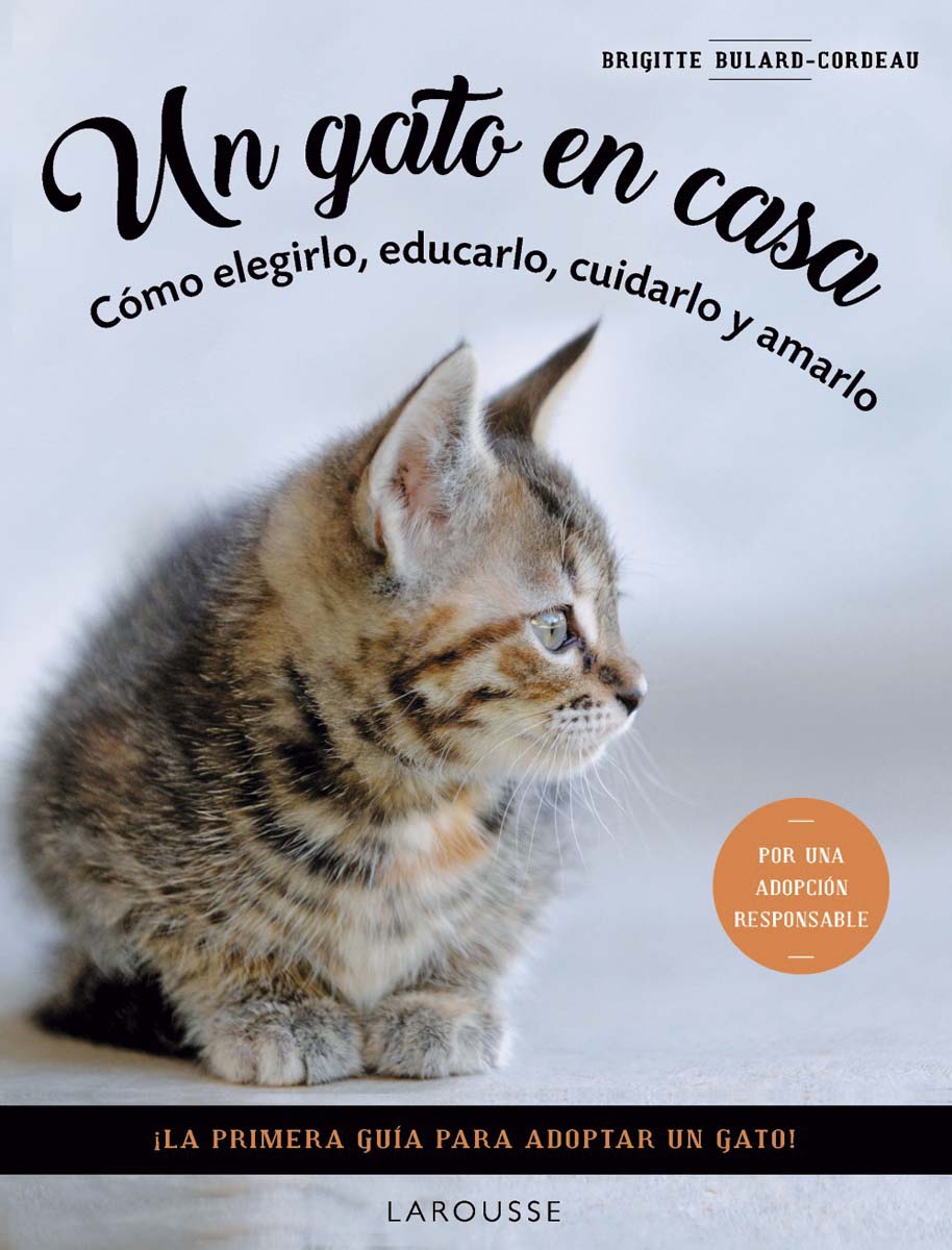 Imagem 0 de Un gato en casa: Cómo elegirlo, educarlo, cuidarlo y amarlo (Capa mole com abas)