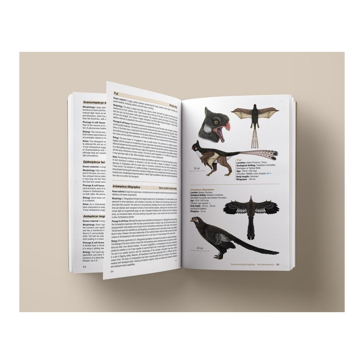 Birds of the Mesozoic: An Illustrated Field Guide (Capa mole) 1